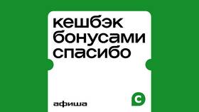 Бонусы СберСпасибо: что это в Линии Любви