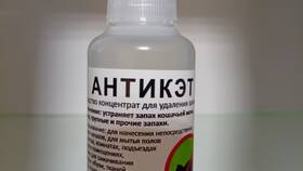 Чем эффективно вывести запах кошачьей мочи в Линии Любви