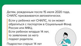 Для чего работодателю нужен СНИЛС в Линии Любви