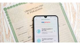 Госуслуги не находят СНИЛС ребенка: что делать в Линии Любви