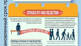 Как оформить наследство без завещания: пошаговая инструкция в Линии Любви