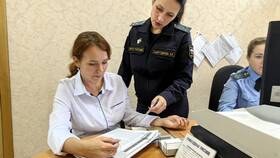 Как подать исполнительный лист в службу судебных приставов в Линии Любви