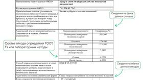 Как правильно относиться к паспорту в Линии Любви