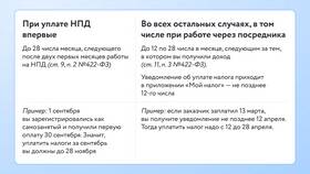 Как рассчитать налог ИП в 2024 году в Линии Любви
