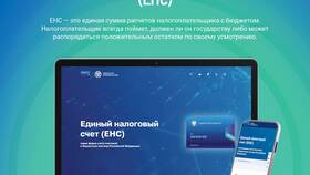 Как считается доход для единого налога (ЕНС) в Линии Любви