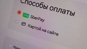 Почему Додо Пицца временно закрыто в Линии Любви