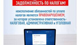 Сальдо ЕНС в налоговой: что это означает в Линии Любви