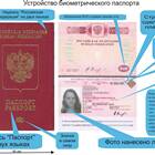 Что такое обратная сторона паспорта