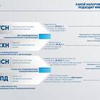 Что такое система налогообложения для ИП