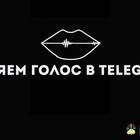 Как изменить голос в Telegram на телефоне