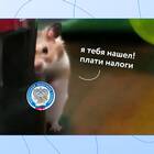 Как платить налоги самозанятым