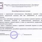 Как правильно создать юридическое лицо: пошаговая инструкция